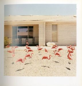 「Sun City」画像1