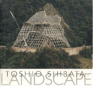 LANDSCAPE2／柴田敏雄　Toshio Shibata／(LANDSCAPE2 /)のサムネール