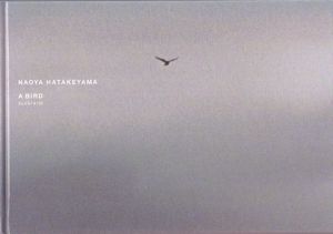 畠山直哉／(A BIRD BLAST #130 / Naoya Hatakeyama)のサムネール