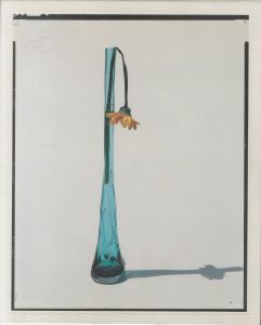 FLOWERS／上田義彦／(FLOWERS /  Yoshihiko Ueda)のサムネール