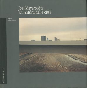 ジョエル・マイヤーウィッツ／(La Natura Delle Citta / Joel Meyerowitz)のサムネール