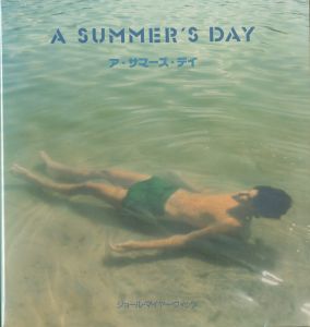 ア・サマーズ・デイ／ジョエル・マイヤーウィッツ／(A SUMMER'S DAY / Joel Meyerowitz)のサムネール