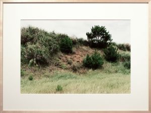 Untitled 1998 work #77／清野賀子／(Untitled 1998 work #77 / Yoshiko Seino)のサムネール