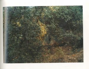 「NEW PICTURES FROM PARADISE / Thomas Struth」画像1
