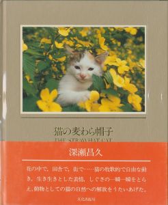 猫の麦わら帽子／深瀬昌久／(THE STRAWHAT CAT / Masahisa Fukase)のサムネール