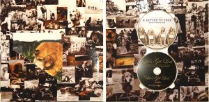 「A LETTER TO TRUE  BRUCE WEBER COLLECTOR'S BOX / Bruce Weber」画像2
