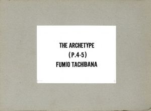 The Archtype (P.4-5)のサムネール