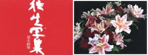 往生写集 − 東ノ空・PARADISE／荒木経惟／(ŌJŌ SHASHŪ: PHOTOGRAPHY FOR THE AFTERLIFE - EASTERN SKY, PARADISE / Nobuyoshi Araki)のサムネール