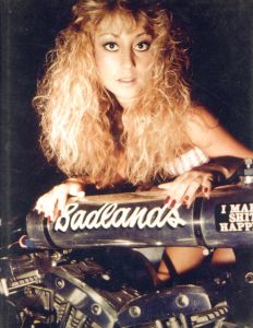 Wives. Wheels. Weapons／テリー・リチャードソン　著：ジェームズ・フライ／(Wives. Wheels. Weapons / Terry Richardson  Author: James Frey)のサムネール