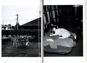 「夏小説 / 荒木経惟」画像1
