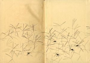 「小村雪岱画集 / 小村雪岱」画像3
