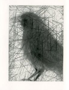 「KALI　Etching 15sheets / Jim Dine」画像15