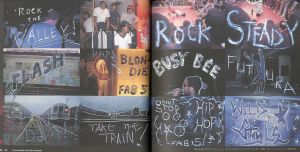 「WILD STYLE THE SAMPLER ※DVD欠 / チャーリー・アハーン」画像4