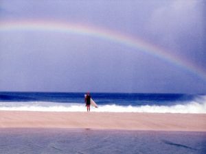 「Surfing Photographs from the Seventies Taken by Jeff Divine / Photo: Jeff Divine」画像2