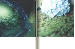 「Illuminance / 川内倫子」画像1