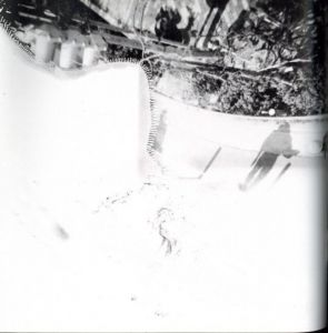「moriyama daido t-82 / 森山大道」画像2