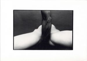 細江英公　展覧会のための写真集「抱擁」と「薔薇刑」／細江英公／(EIKOH HOSOE：Embrace and Ordeal By Roses / Eikoh Hosoe)のサムネール