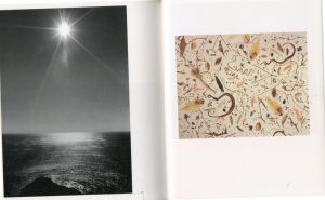 「廃園 / 東松照明　選・文: 伊藤俊治」画像2