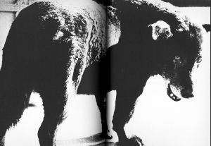 「犬の記憶　終章 / 森山大道」画像1
