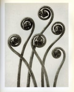 「Karl Blossfeldt The Complete Published Work / Karl Blossfeldt」画像2