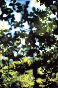 「SNAKE EYES / Photo: Terri Weifenbach Essay: John Gossage」画像5