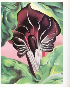 「Georgia O'Keeffe: One Hundred Flowers / 著：ジョージア・オキーフ　編：ニコラス・キャラウェイ」画像3