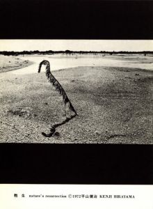 「甦生 / 平山健治」画像8
