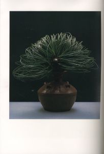 「華　中川幸夫作品集 / 中川幸夫　文：滝口修造」画像5