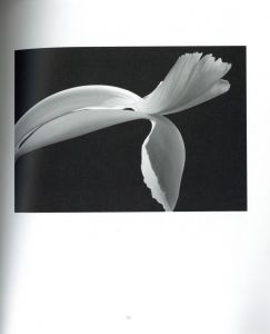 「HANA Yasuhiro Ishimoto / Yasuhiro Ishimoto」画像5