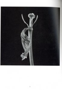 「HANA Yasuhiro Ishimoto / Yasuhiro Ishimoto」画像7