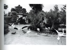 「ZOO / 林隆喜」画像2