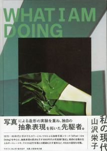 山沢栄子 私の現代／山沢栄子／(Eiko Yamazawa: What I Am Doing / Eiko Yamazawa)のサムネール
