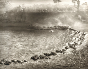 「ON THIS EARTH, A SHADOW FALLS / Nick Brandt」画像2