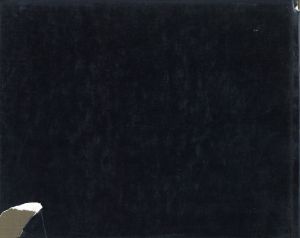 「SOUVENIRS IMPROBABLES / Sarah Moon 」画像1