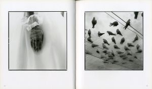 「Findings / 渡邉博史」画像2