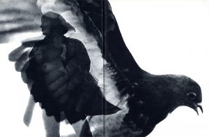 「November girl / Sam Haskins 」画像5