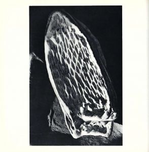 「泥の王国 / 東松照明」画像4