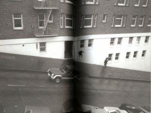 「Dysfunctional / Author: Aaron Rose」画像2
