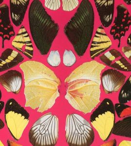 「DAMIEN HIRST  SUPERSTITION / ダミアン・ハースト」画像4