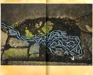 「Hibi / Photo: Masahisa Fukase」画像4