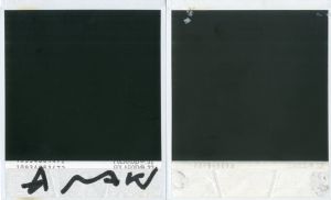 「荒木経惟 ポラロイド 2枚セット No.1 / 荒木経惟」画像1