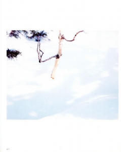 「鈴木理策　熊野、雪、桜 / 写真：鈴木理策　文：鷲田清一、丹羽晴美　デザイン：秋山伸、松井健太郎」画像4