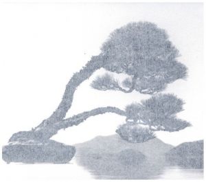手中一滴／山本昌男／(Bonsai - Microcosmos Macrocosmos / Masao Yamamoto)のサムネール