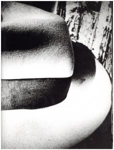 森山大道／(LIGHT & SHADOW MAGAZINE Special Edition / Daido Moriyama)のサムネール