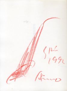 「安藤忠雄の都市彷徨 / 安藤忠雄」画像1