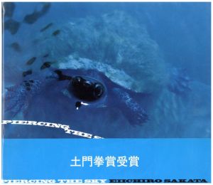 PIERCING THE SKY／坂田栄一郎／(PIERCING THE SKY / Eiichiro Sakata)のサムネール