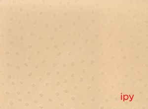 ipy／著：安楽寺えみ／(ipy / Author: Emi  Anrakuji)のサムネール
