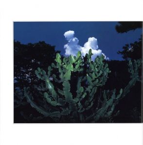「花狩 / 写真：山村雅沼　執筆：奈良原一高、森永純　他」画像6