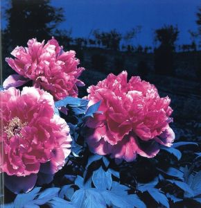 「花狩 / 写真：山村雅沼　執筆：奈良原一高、森永純　他」画像5