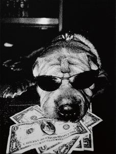犬 ：『ハワイ』(2007) より／森山大道／(DOG: from "Hawaii" (2007) / Daido Moriyama)のサムネール